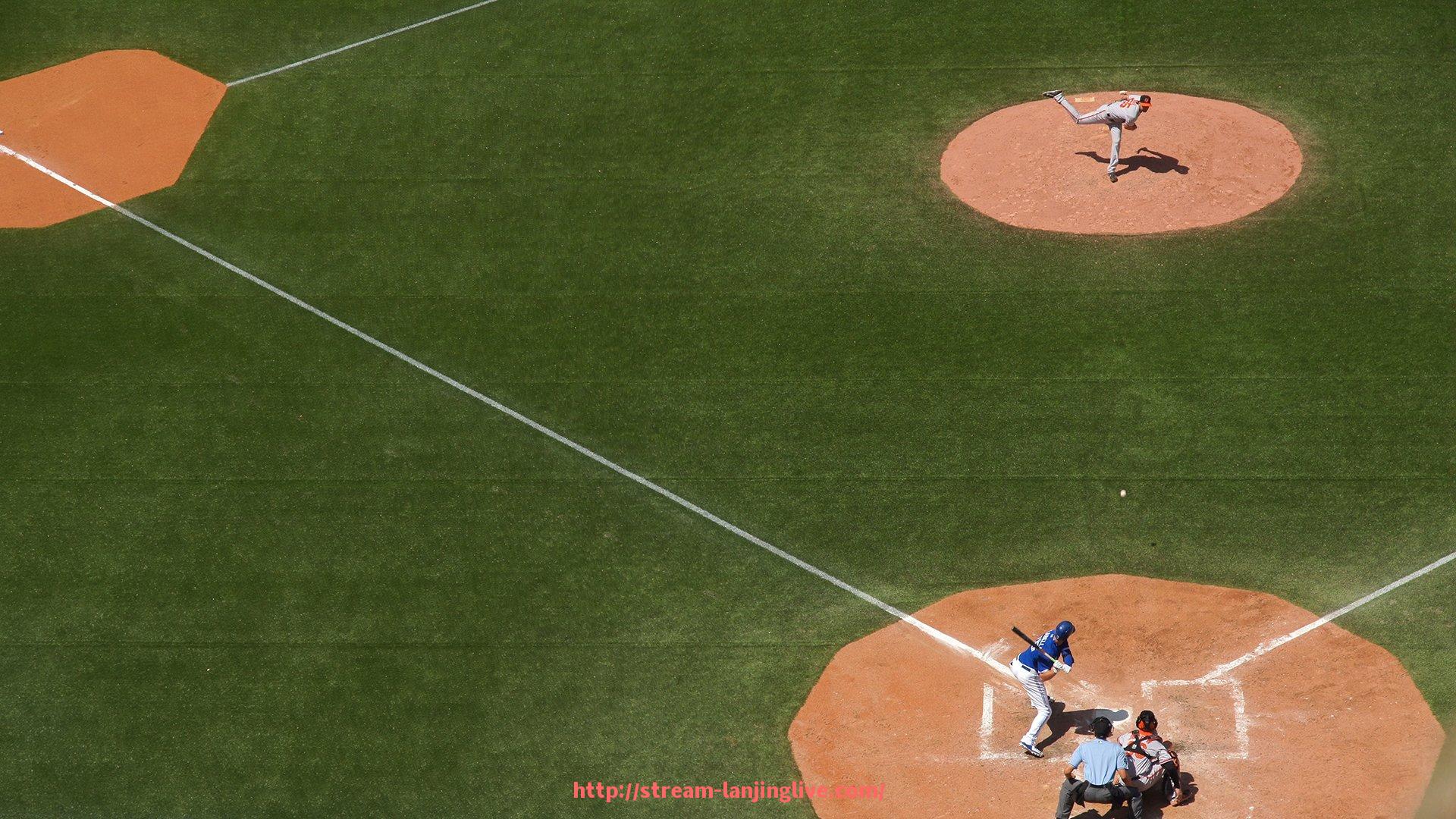 蓝鲸体育直播-健胸健身器材推荐：最适合胸部锻炼的器材